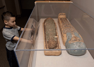 Mummy with Egyptian Artifacts in a case Mummy with Egyptian Artifacts in a case