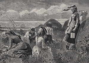 Gathering Berries, 1874 Children on the country side gathering berries. Black and white image
