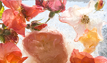 Garden Roses, 2008 Painting featuring a flower