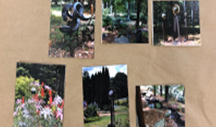 Photography Thumbnail Snapshots arranged on a table.