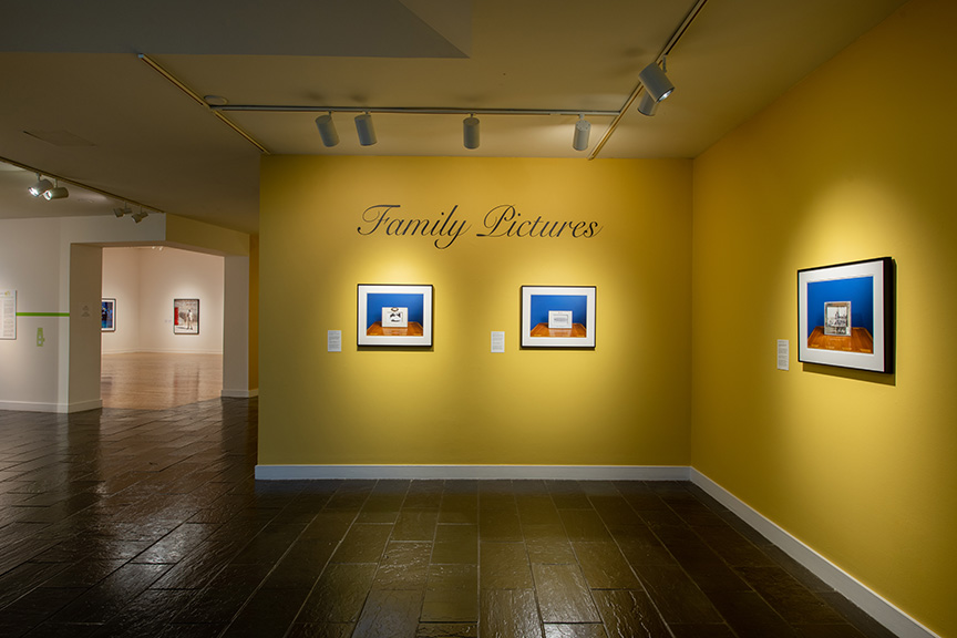 Family Pictures installation view Family Pictures installation view