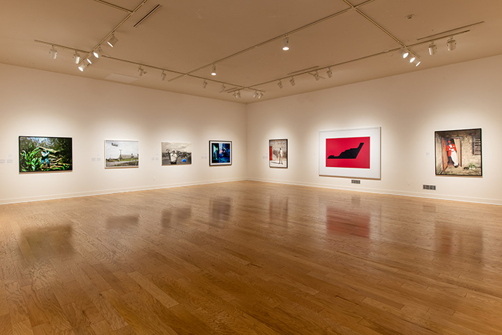The Big Picture installation view The Big Picture installation view