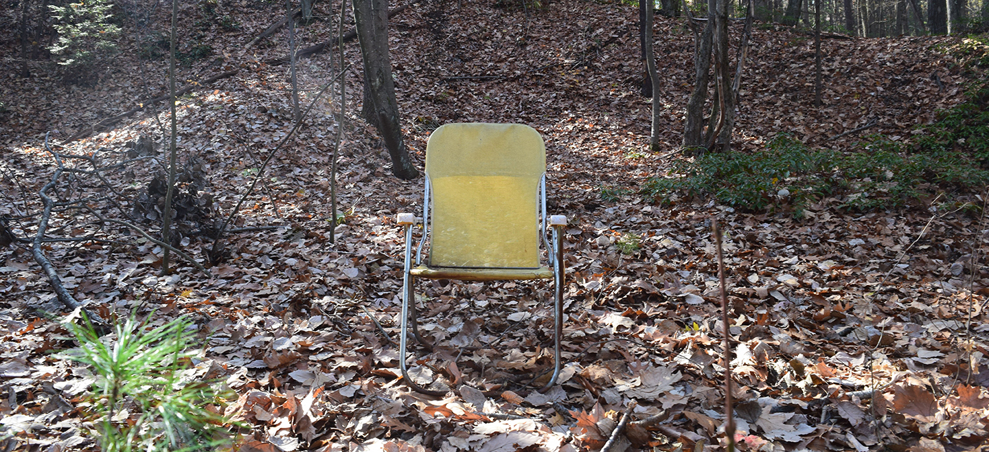 Backyard 2, 2020 Anonymous A single yellow lawn chair in the center of leaf covered forest scene