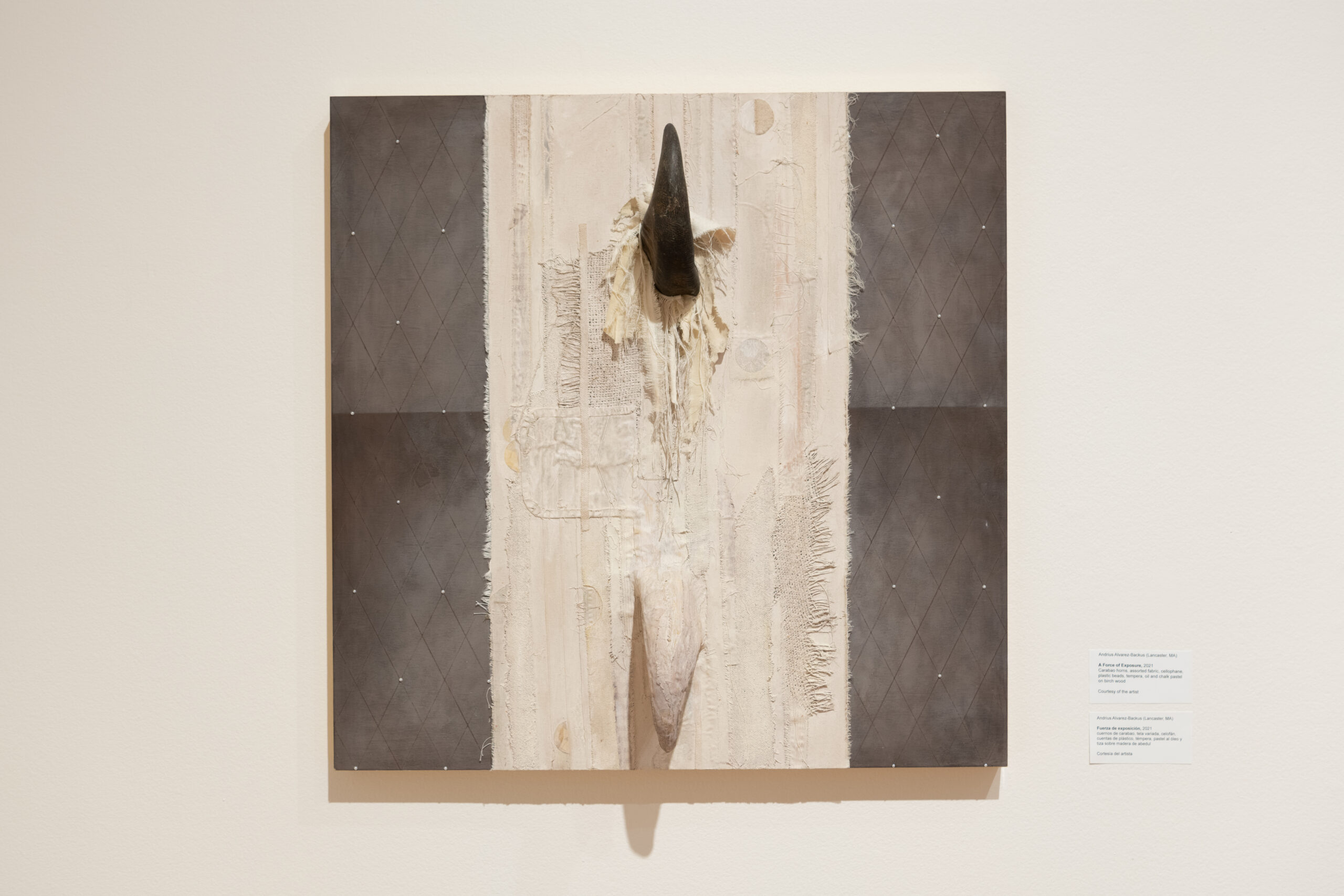 CStern_FAM_86th_Reg_263_8784