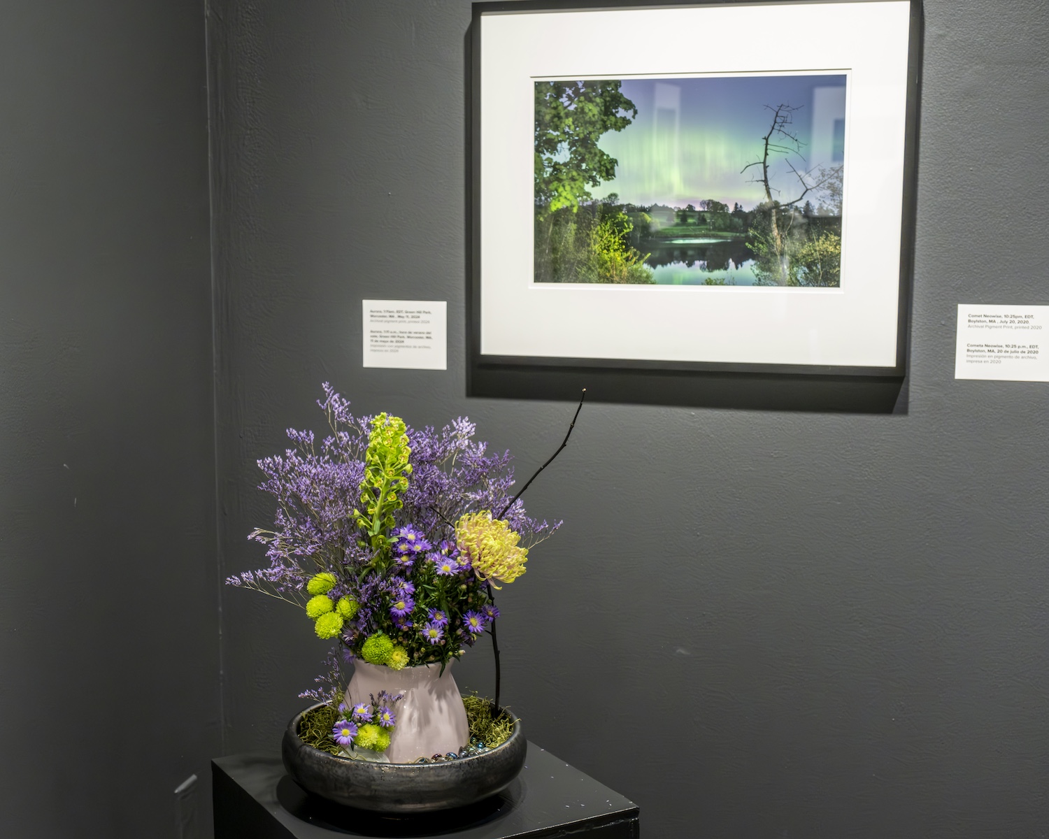 Fitchburg Art Museum, Art In Bloom, April 2025